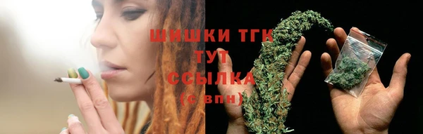 гидропоника Гусиноозёрск