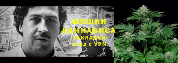 гидропоника Гусиноозёрск