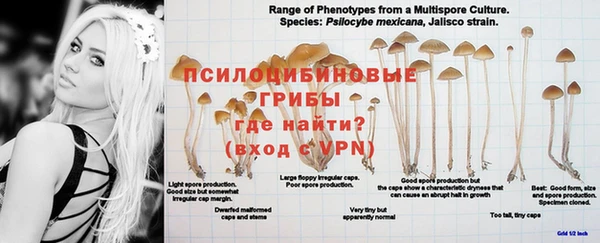 гидропоника Гусиноозёрск
